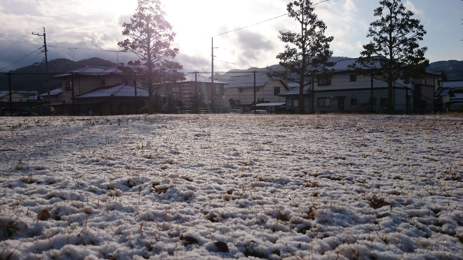【祝⁉雪が積もりまして】